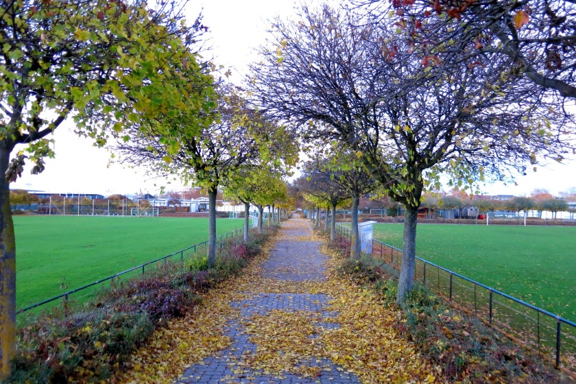 Blick auf einen gepflasterten Fußweg zwischen zwei Sportplätzen, auf dem gelbes Laub liegt. Am Weg stehen Laubbäume, die teils ihr Laub abgeworfen haben, teils noch grüne oder sich verfärbende Blätter tragen.