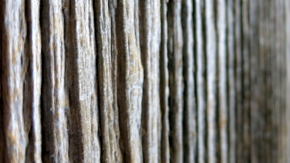 Verwitterte Oberfläche eines unbehandelten Holzbretts; senkrechte Maserung, wo die weichen Teile der Jahresringe vom Wetter abgetragen wurden und die härteren Teile stehengeblieben sind.